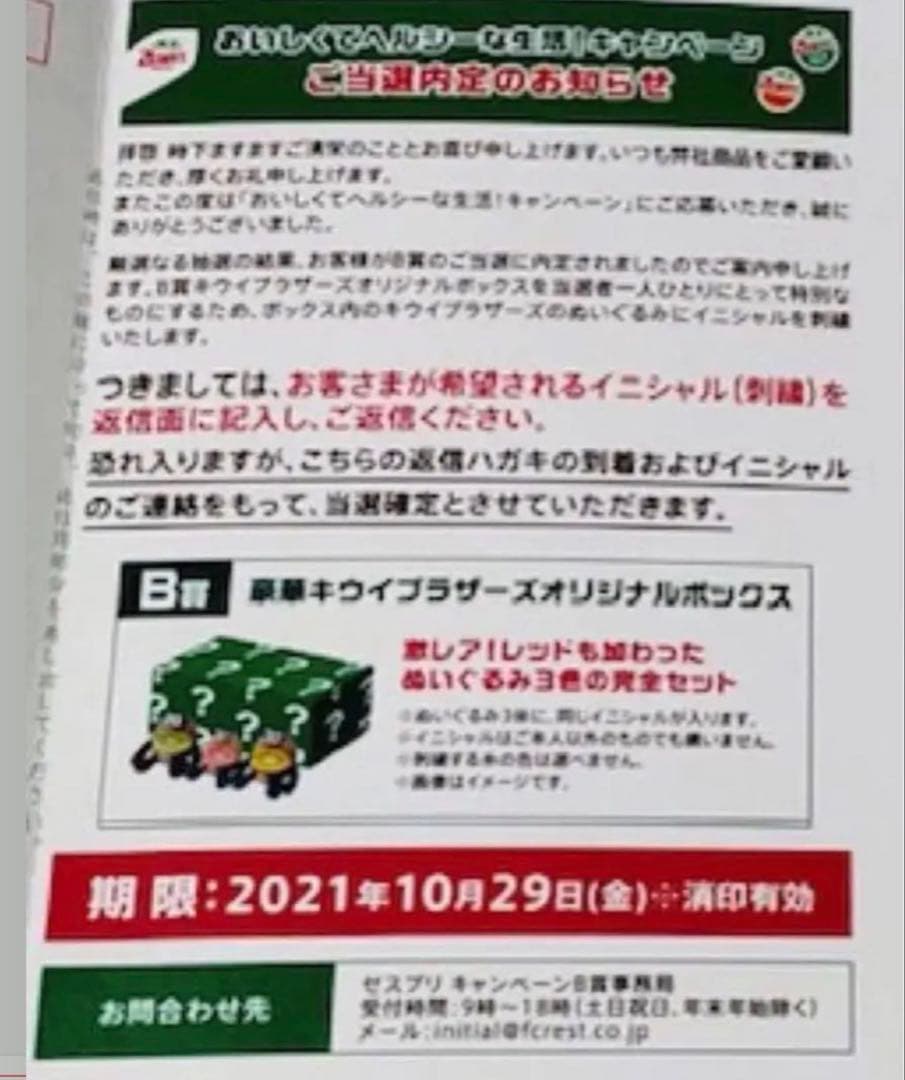 ★2021年ゼスプリ懸賞当選品❗️✨レッド入り✨キウイブラザーズセット★