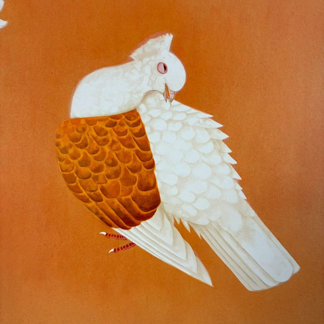 美品 上村松篁「双鳩」リトグラフ 直筆サイン・印章入 花鳥画 上村松園