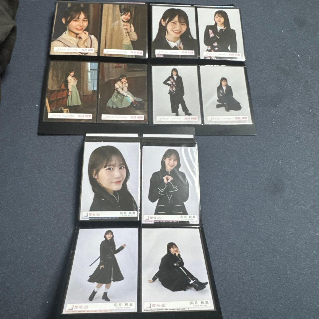 向井純葉　生写真フルコンプセット　最初期から2025/9まで95セット