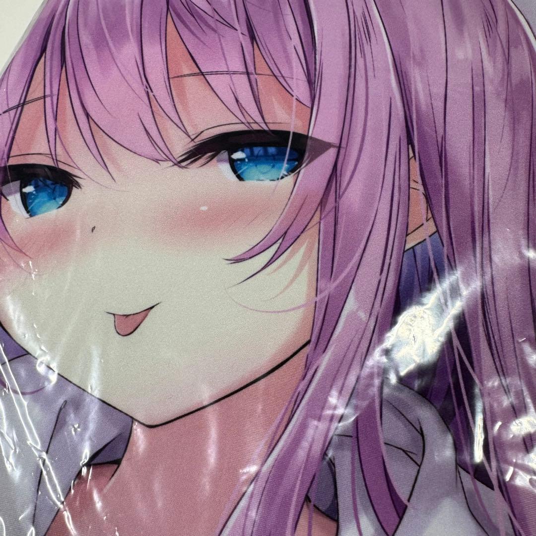 もえかちゃん 抱き枕カバー ぎんいろからす ふぇありぃあい C99 コミケ 新品