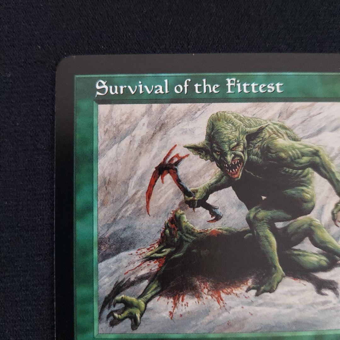 MTG　適者生存　Survival of the Fittest　エクソダス