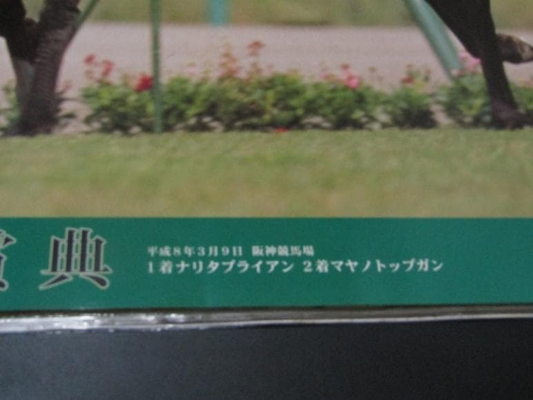 競馬 B2ポスター 第44回 阪神大賞典 ナリタブライアン マヤノトップガン