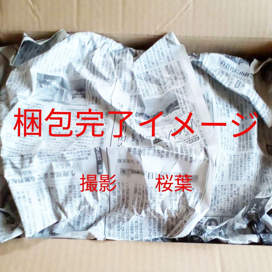 機動戦士ガンダム ガンプラ mg マ・クベ専用グフ ガルマ・ザビ専用ザク 未組立