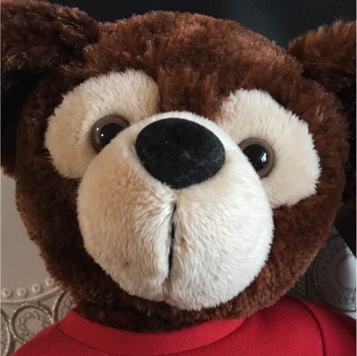 ハイスクールミュージカル ダッフィー ☆ ハイスクール・ミュージカル