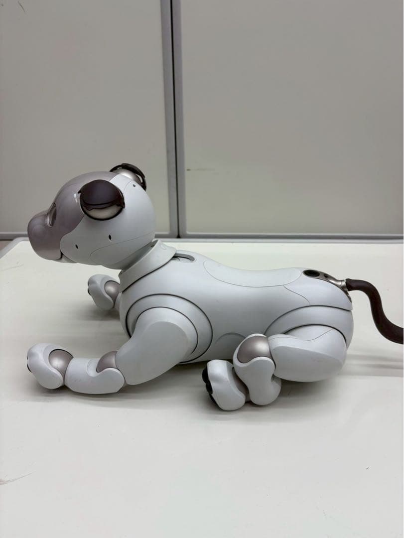 SONY AIBO ERS-1000 ロボット犬 充電ステーション付き　to01