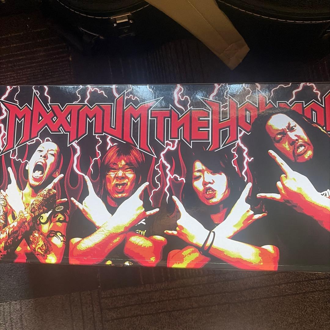 MAXIMUM THE HORMONE フィギュアセット 4体
