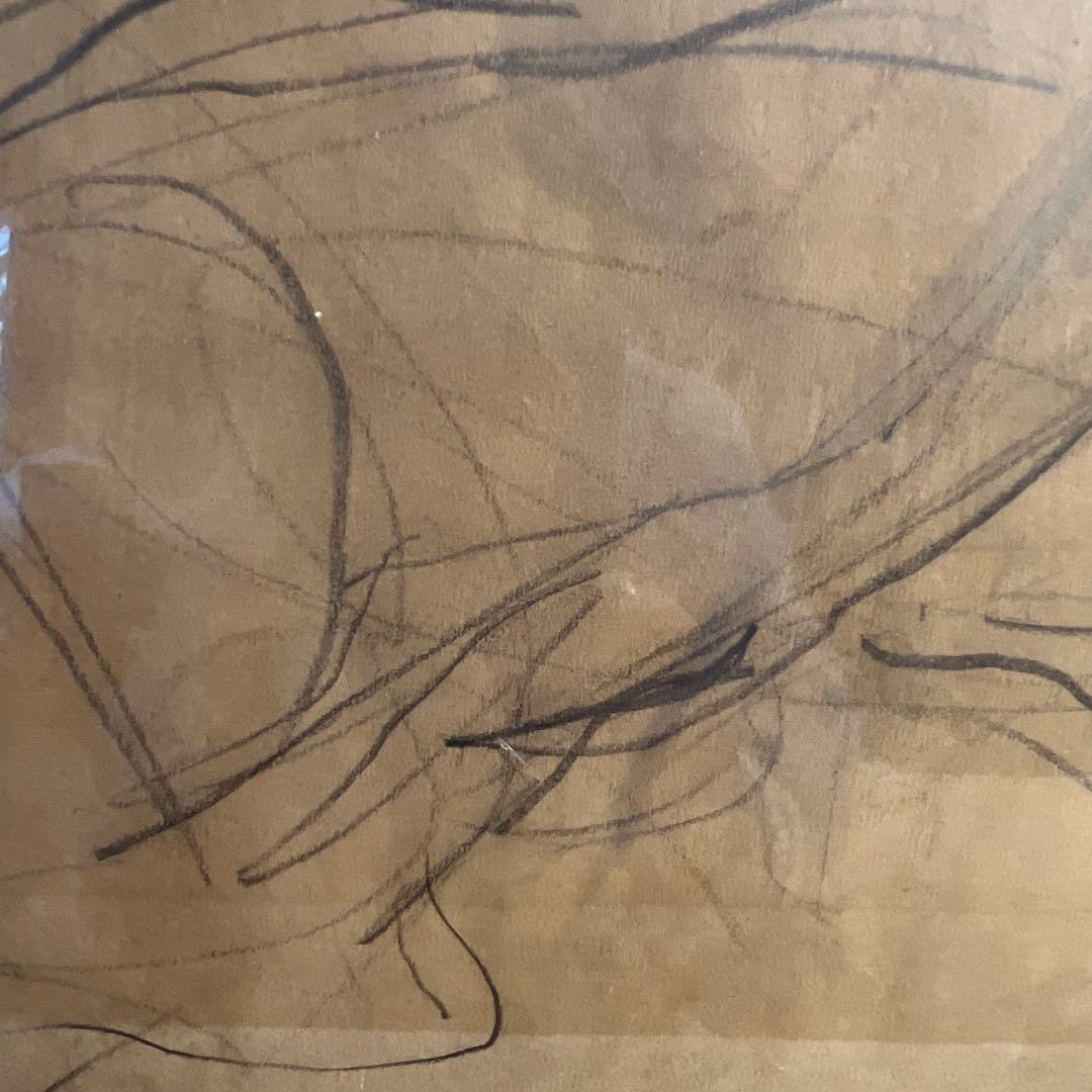 世界に一品鉛筆画の異才 河内良介作品「薬草採集」