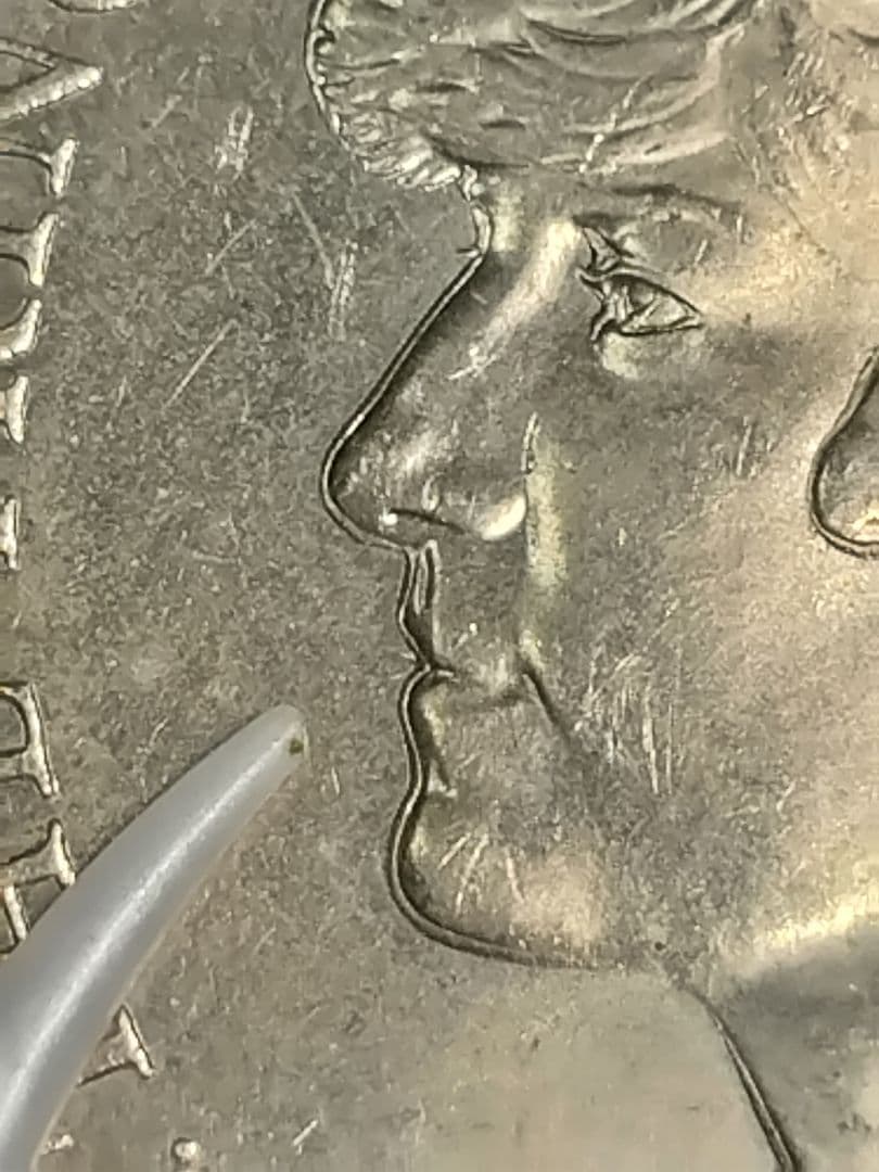 pn424 エラー硬貨 1981年チャールズ皇太子 ダイアナ妃 ご成婚記念 硬貨 pn424 チャールズ皇太子 ダイアナ妃 ご成婚記念 硬貨 エラー硬貨1981年