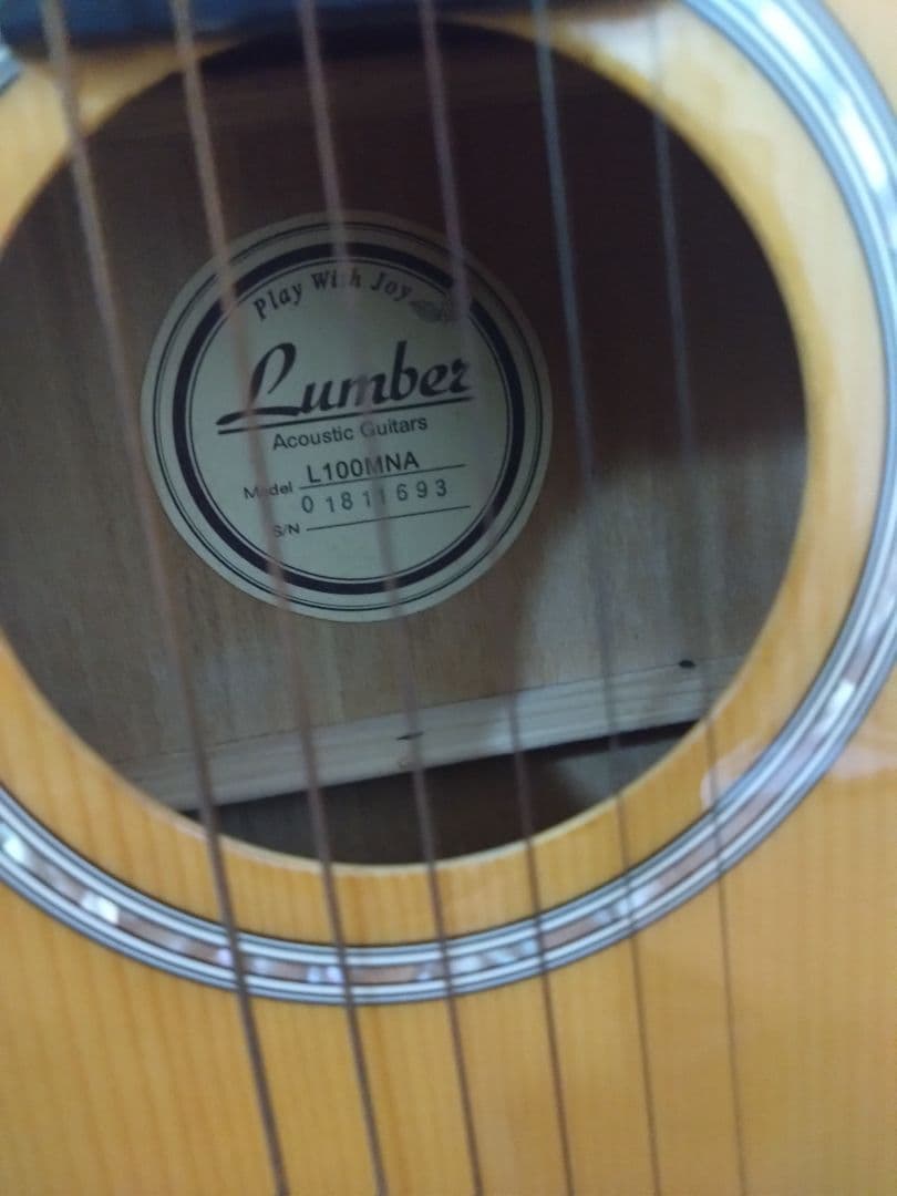 アコースティックミニギター LumberL100MNA ケース他付属品5点
