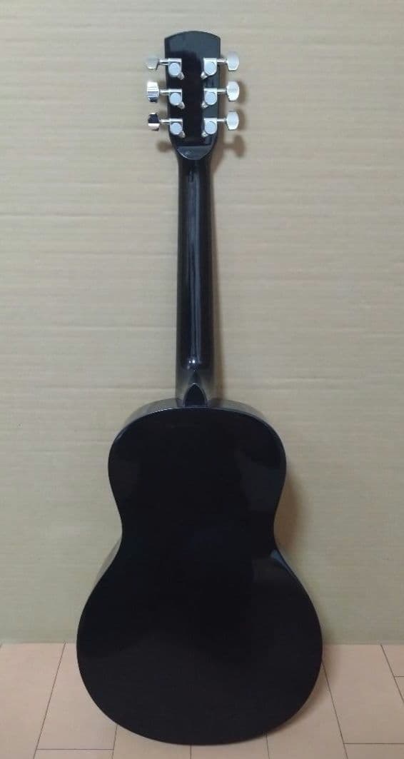 アコースティックミニギター LumberL100MNA ケース他付属品５点