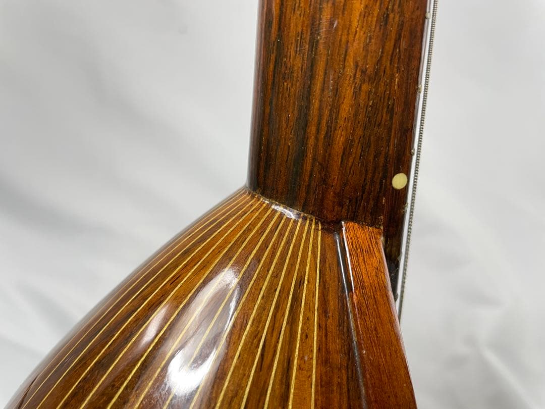 ラファエレ・ カラーチェ マンドリン No.24