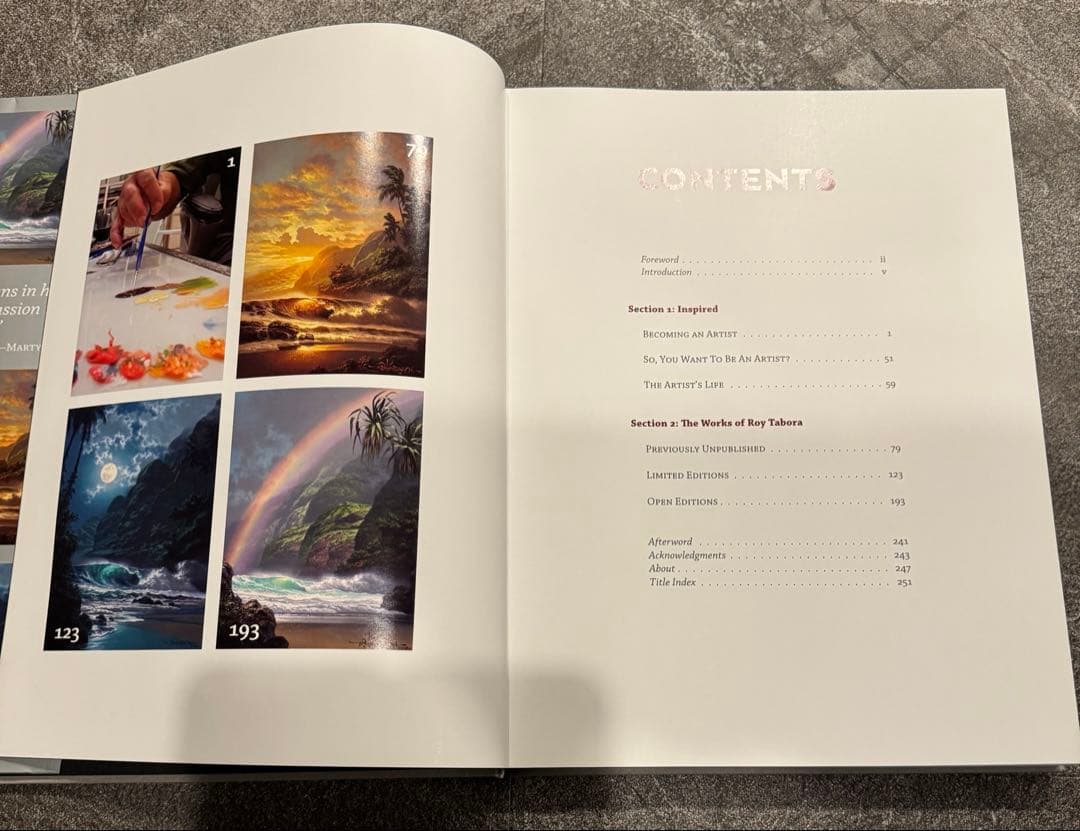 1点物 美品 ロイ.タボラ Jewel of the Night