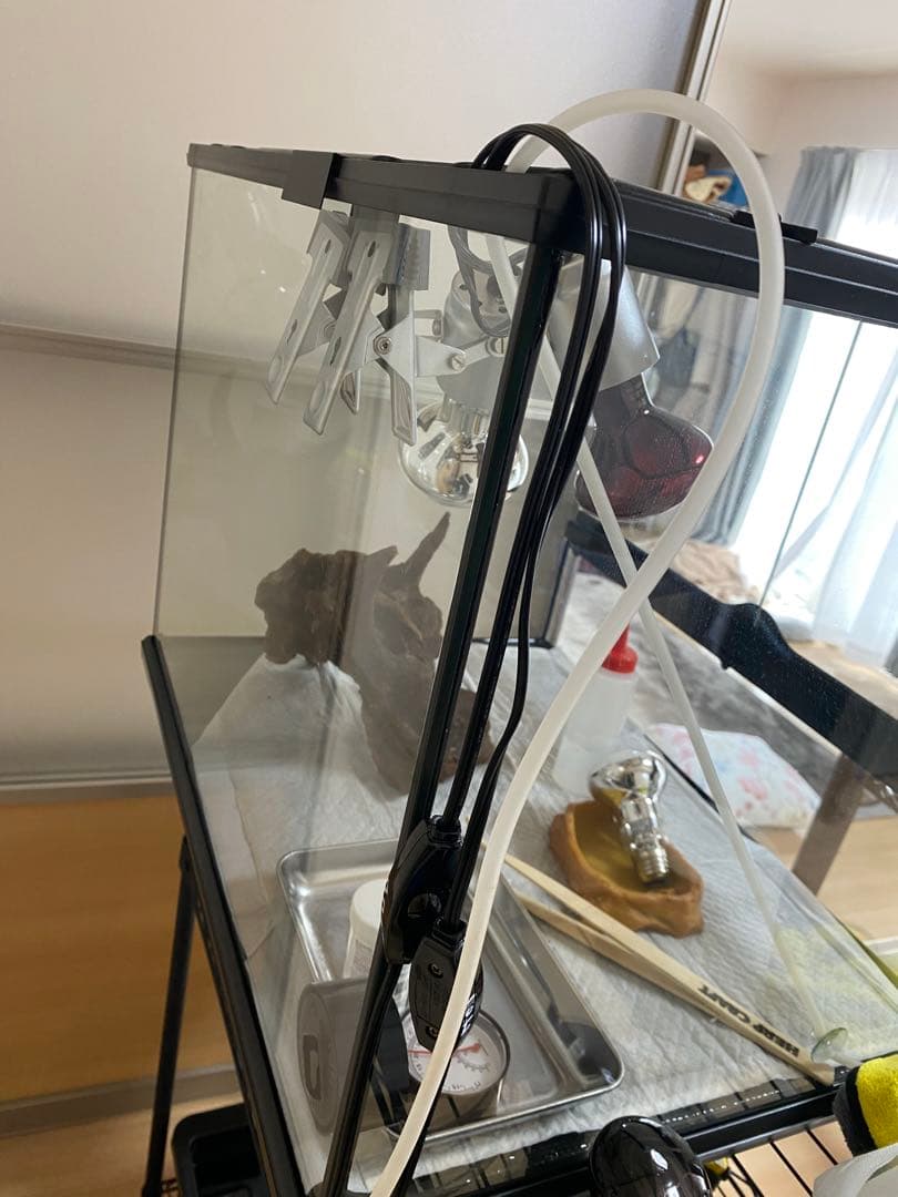 エキゾテラ6045 東広島市 とまさん専用 エキゾテラ6045 東広島市 と