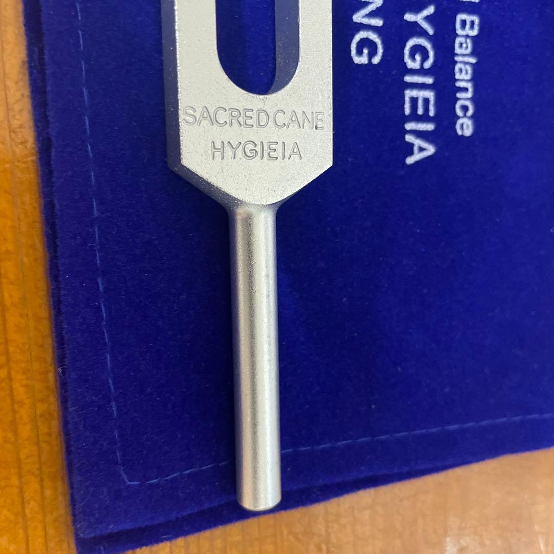 増川いづみ 音叉 ヒュゲイヤの杖 へヴィーフォーク - メルカリ