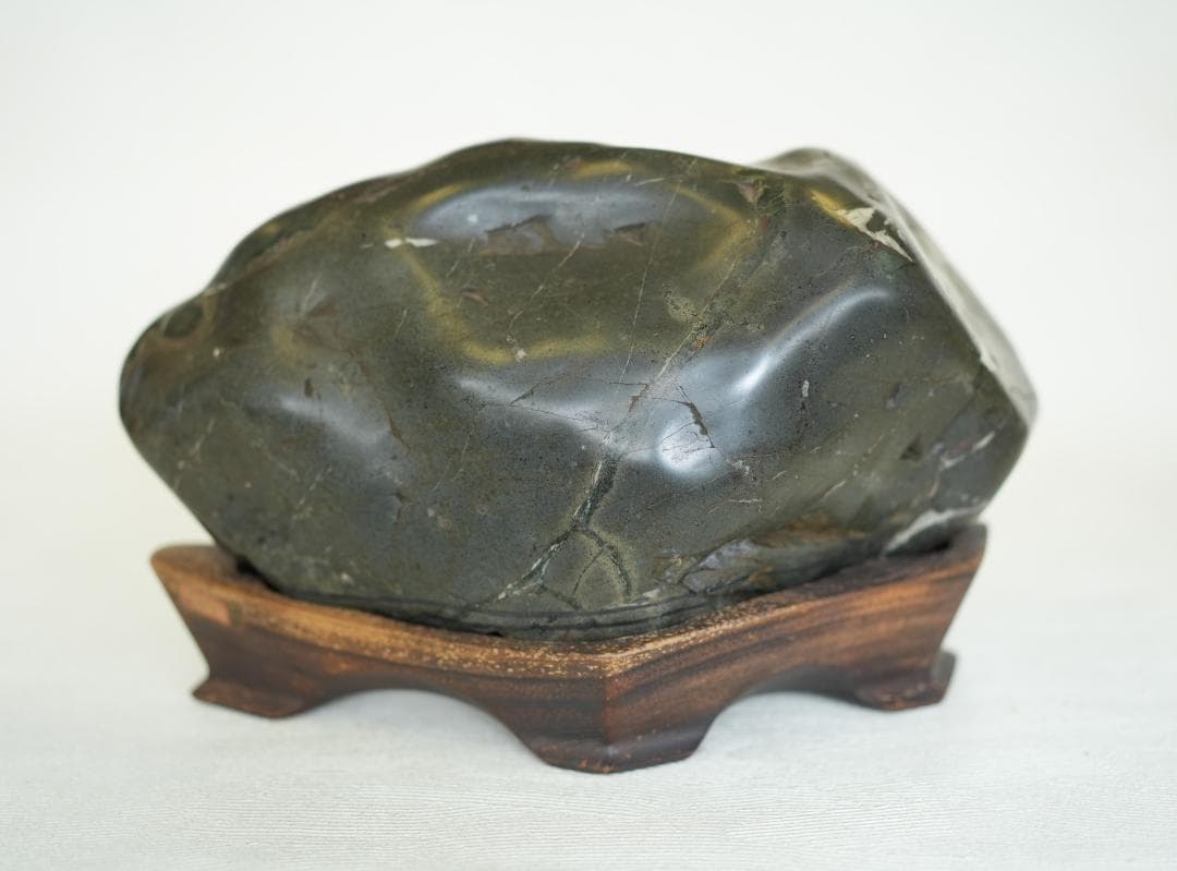 梅化石 菊化石 石盆栽 松盆栽 向日葵鑑賞石盆石水石suiseki