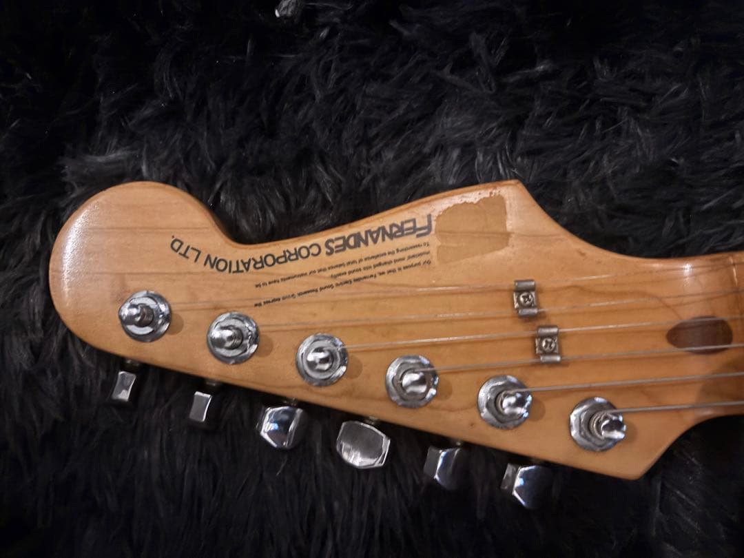 fernandes 石ロゴFST-85 ハードケース フェルナンデス 楽器・機材