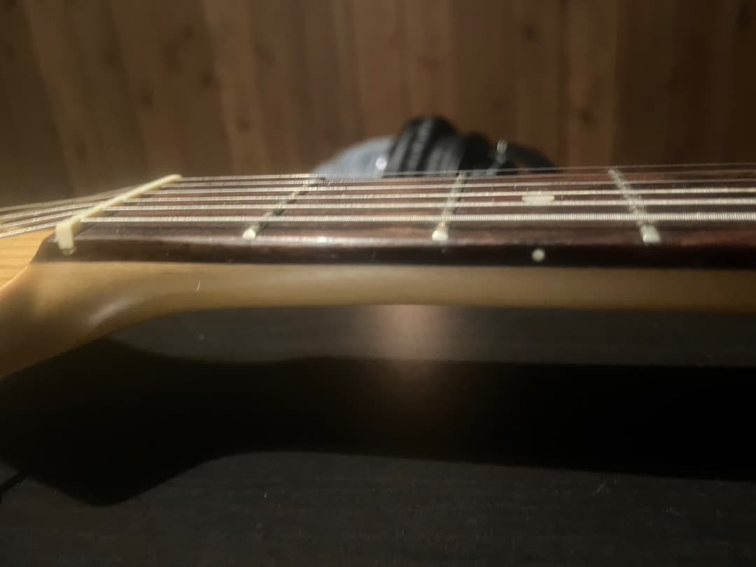 Bacchus テレキャスターギター