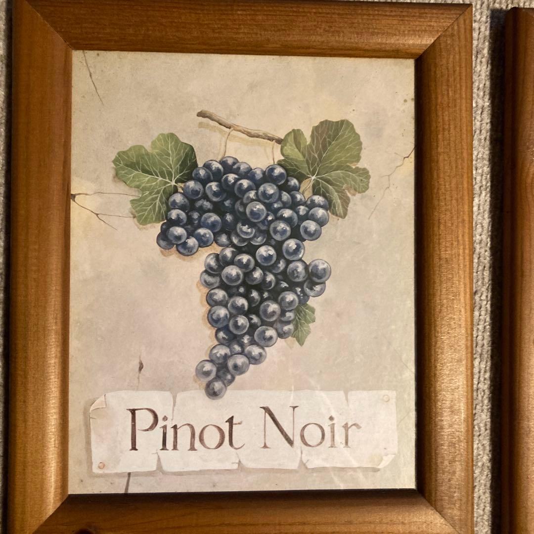 ワイン用ブドウの絵画セット6￼点セット