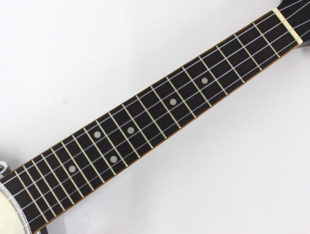 ▲Aria バンジョー レモ ヴェザーキング 弦楽器 民族楽器