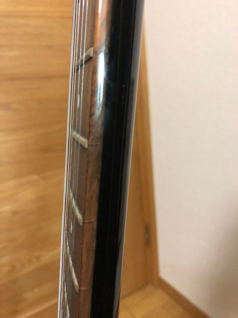Epiphone Special II フレイム柄エレキギター