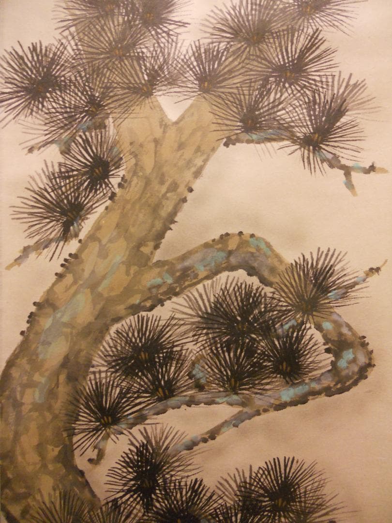 掛け軸 小川朝陽 老松 紙本 希少 軸装 茶道具 掛軸 美品 です。