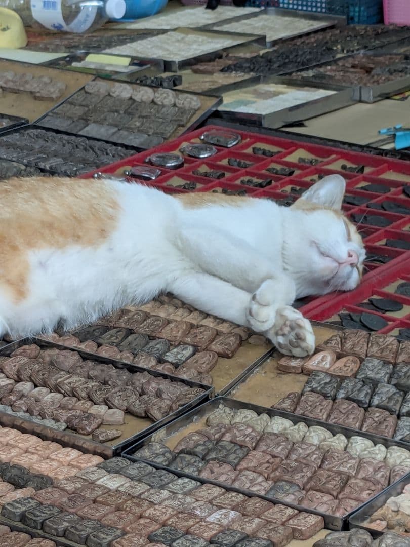 タイのお守りプラクルアン！タイの葛西紀明！レジェンド