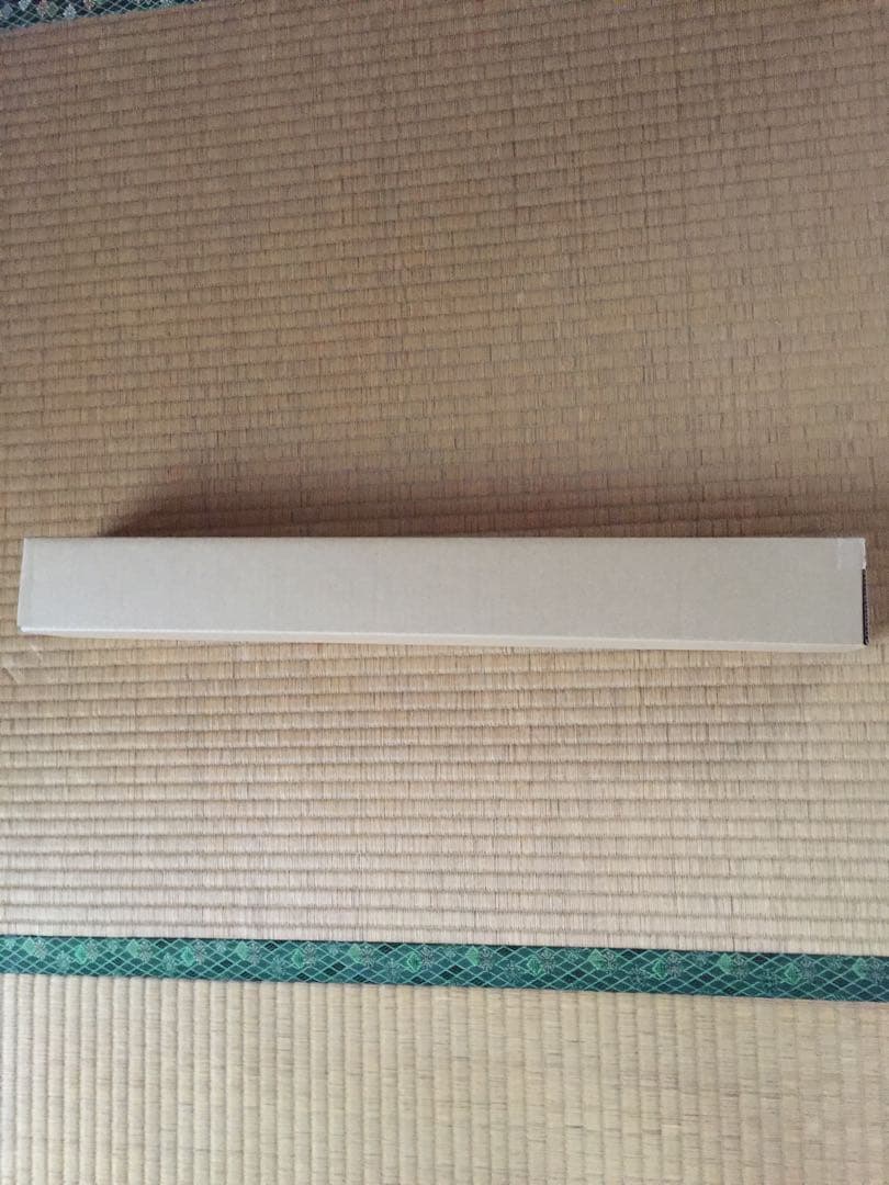 藤乃あおい 等身大ポスター 新品未開封 プラチナフラッシュ ビキニ姿で挑発