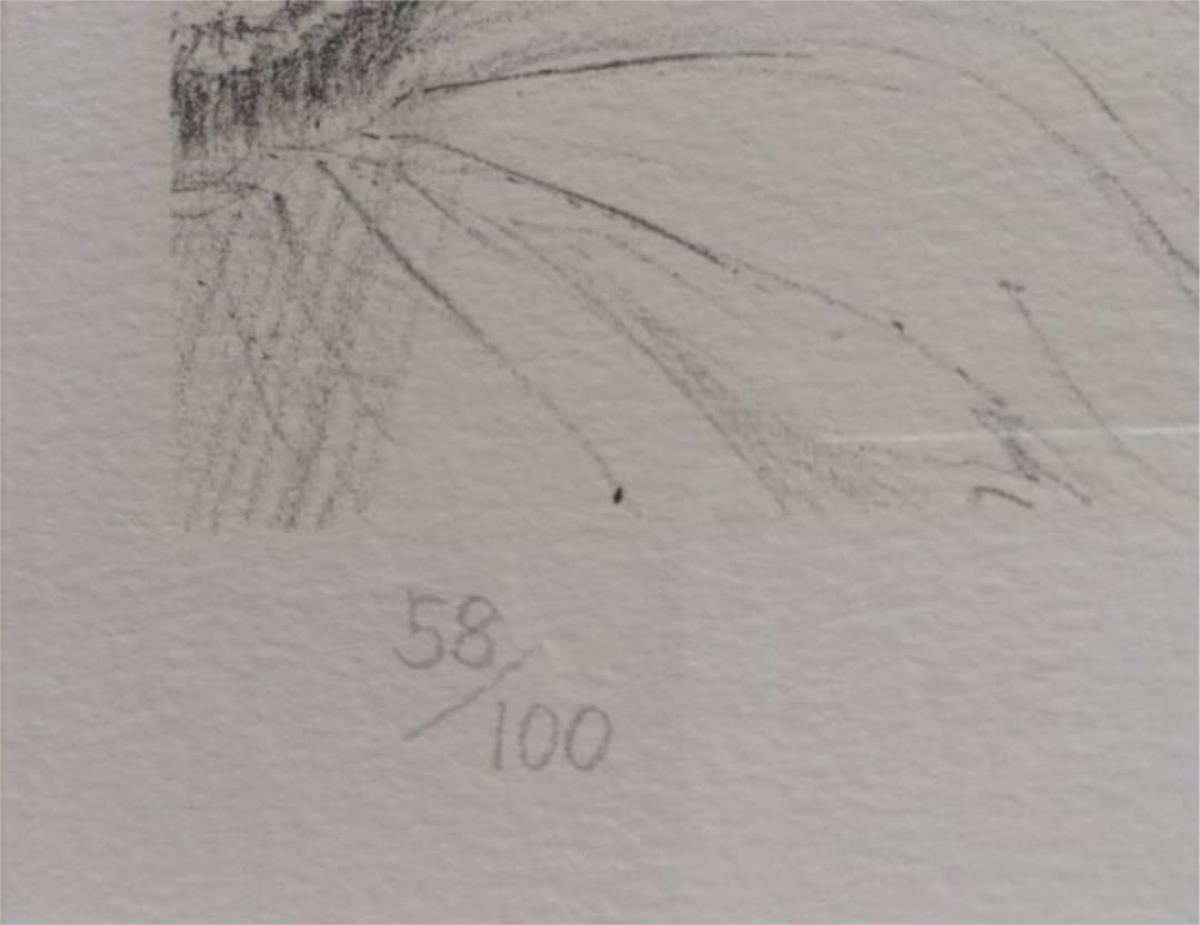 天野喜孝 リトグラフ 作品『春』