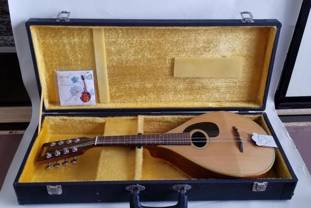 フラットマンドリン・良品（田原楽器：TETOMAS）ケース・新品弦付き