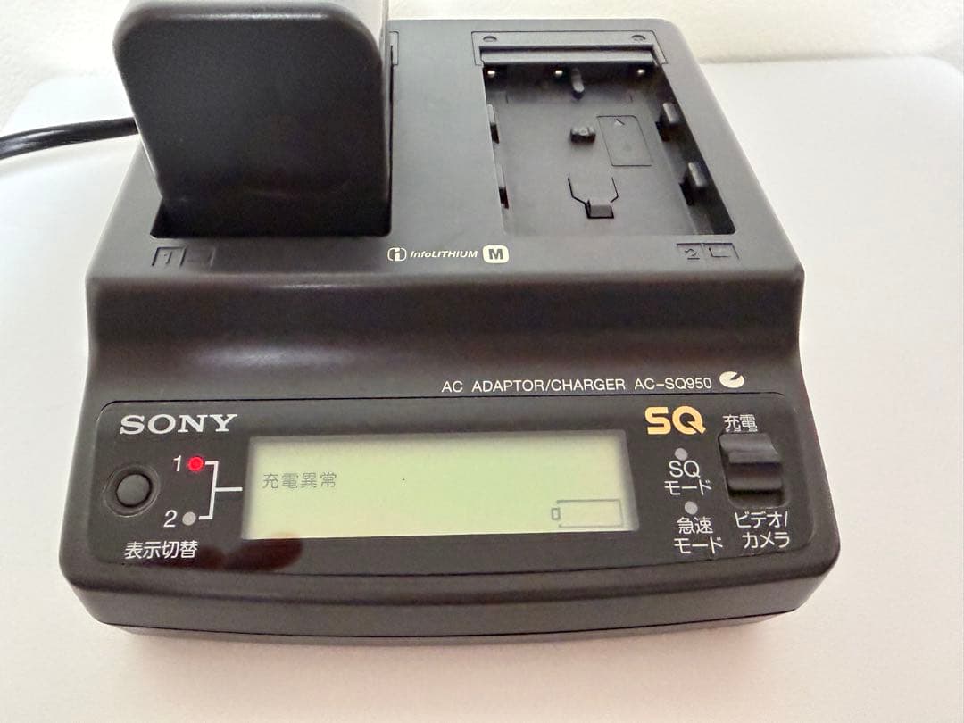 SONY DCR-TRV30 ビデオカメラ 本体