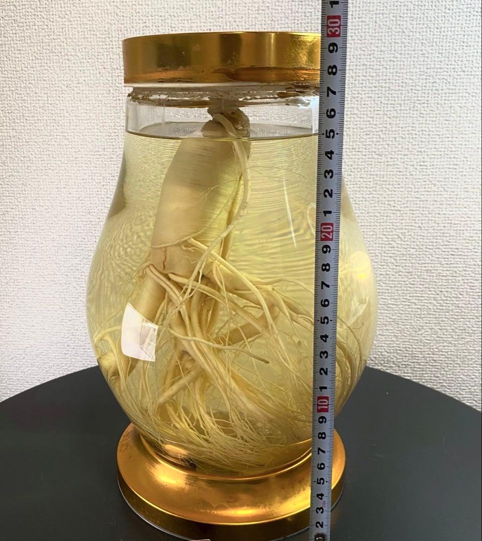 高麗人参 約40年物 古酒 ビンテージ ガラス瓶 金色 富士商事 健康酒
