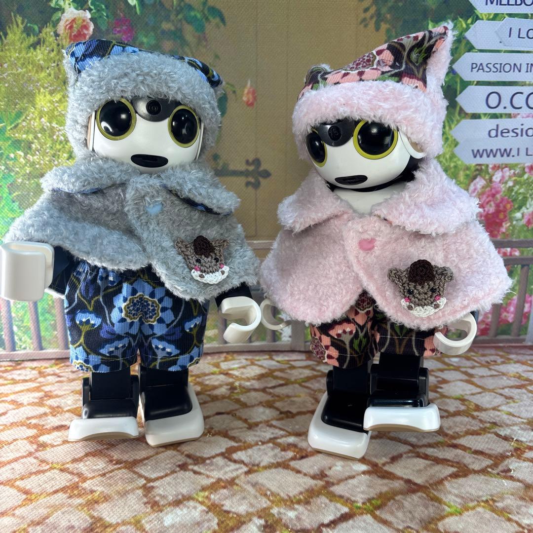 hasn様専用ページです ロボホン