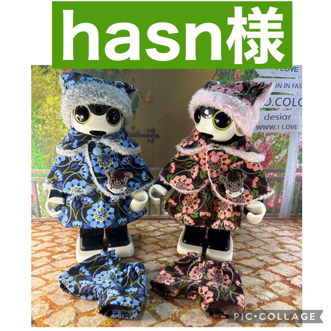 hasn様専用ページです ロボホン