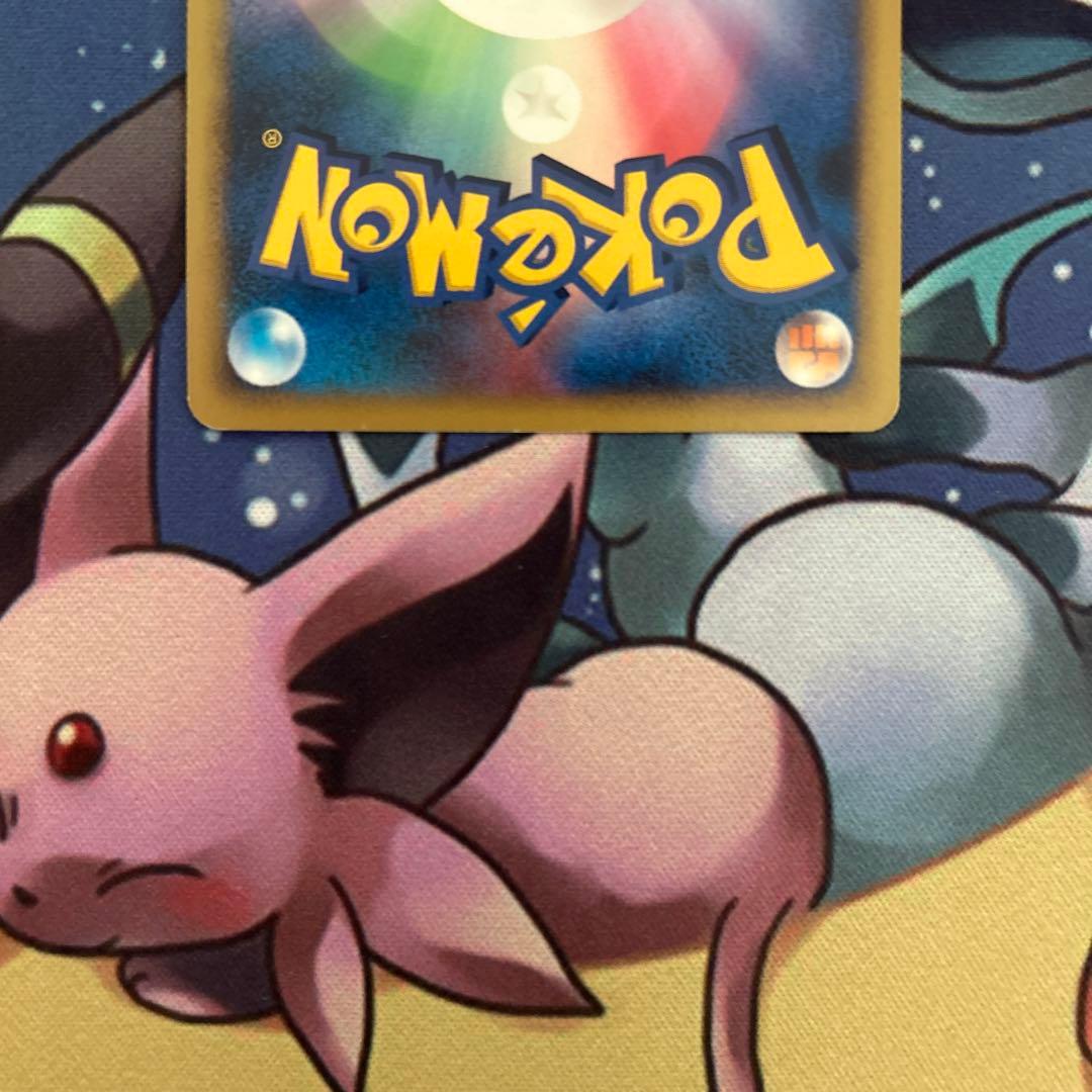 ポケモンカードゲーム　ポケカ　ライチュウLvX 破空の激闘