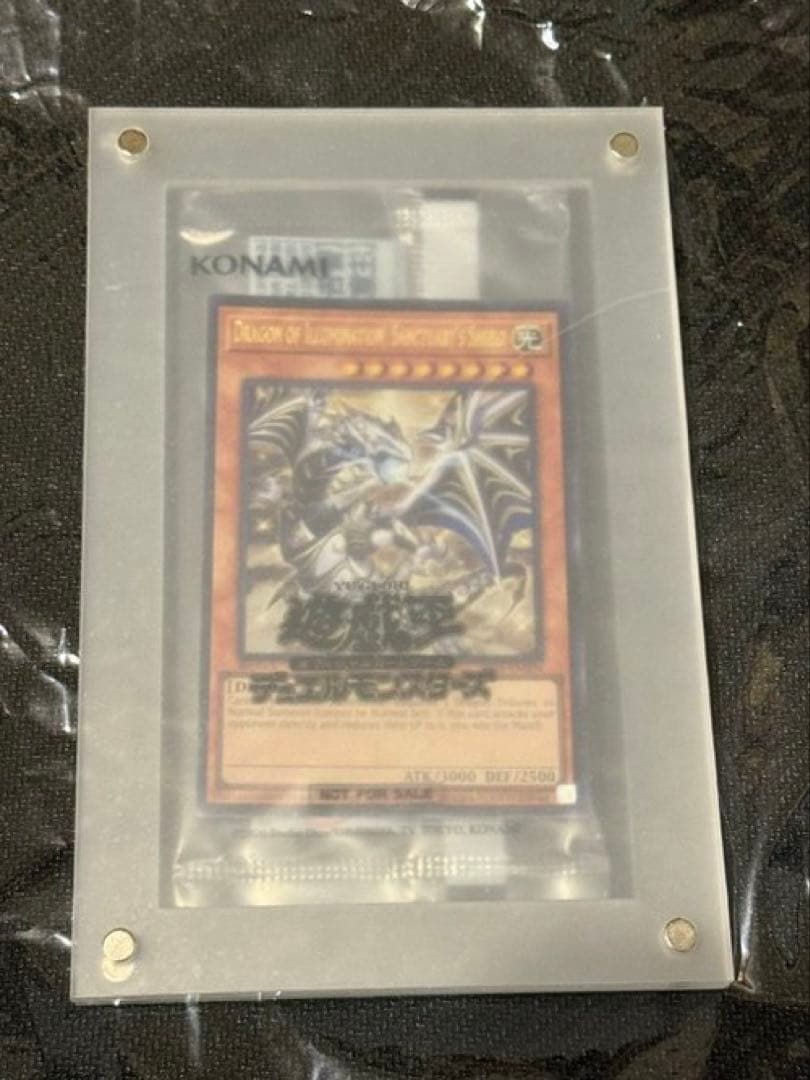 アジア版　2025年　日本選手権　優勝プロモ