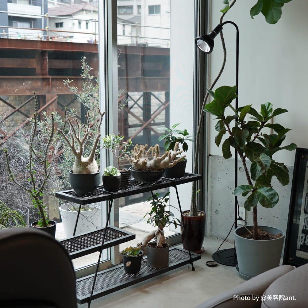 BARREL フレキシブルアームスタンドE26口金ソケット植物用水槽用の通販