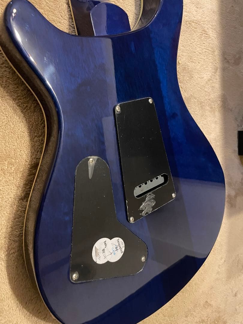 PRS SE Standard custom24 青