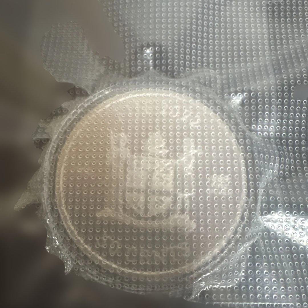 フィージー2022年 キャット銀貨シルバー 1オンス カプセル付き - メルカリ