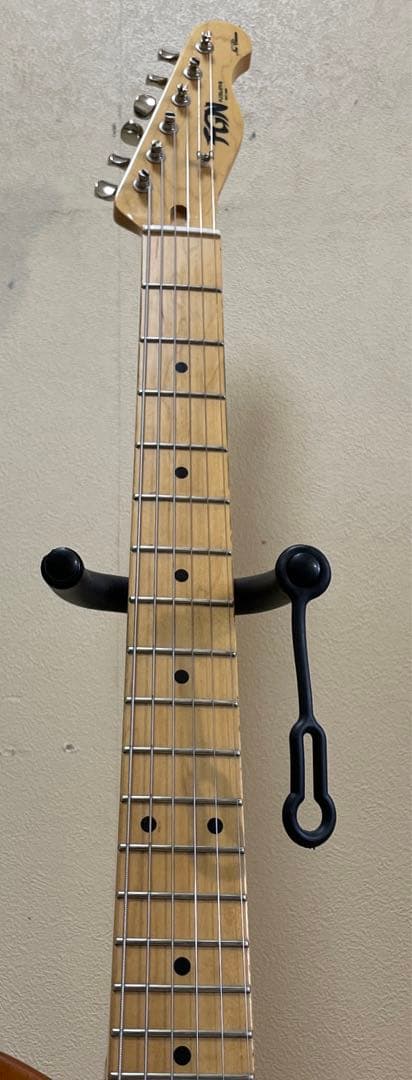 フジゲン テレキャスターシンライン FGN FUJIGEN NTE11MMHT