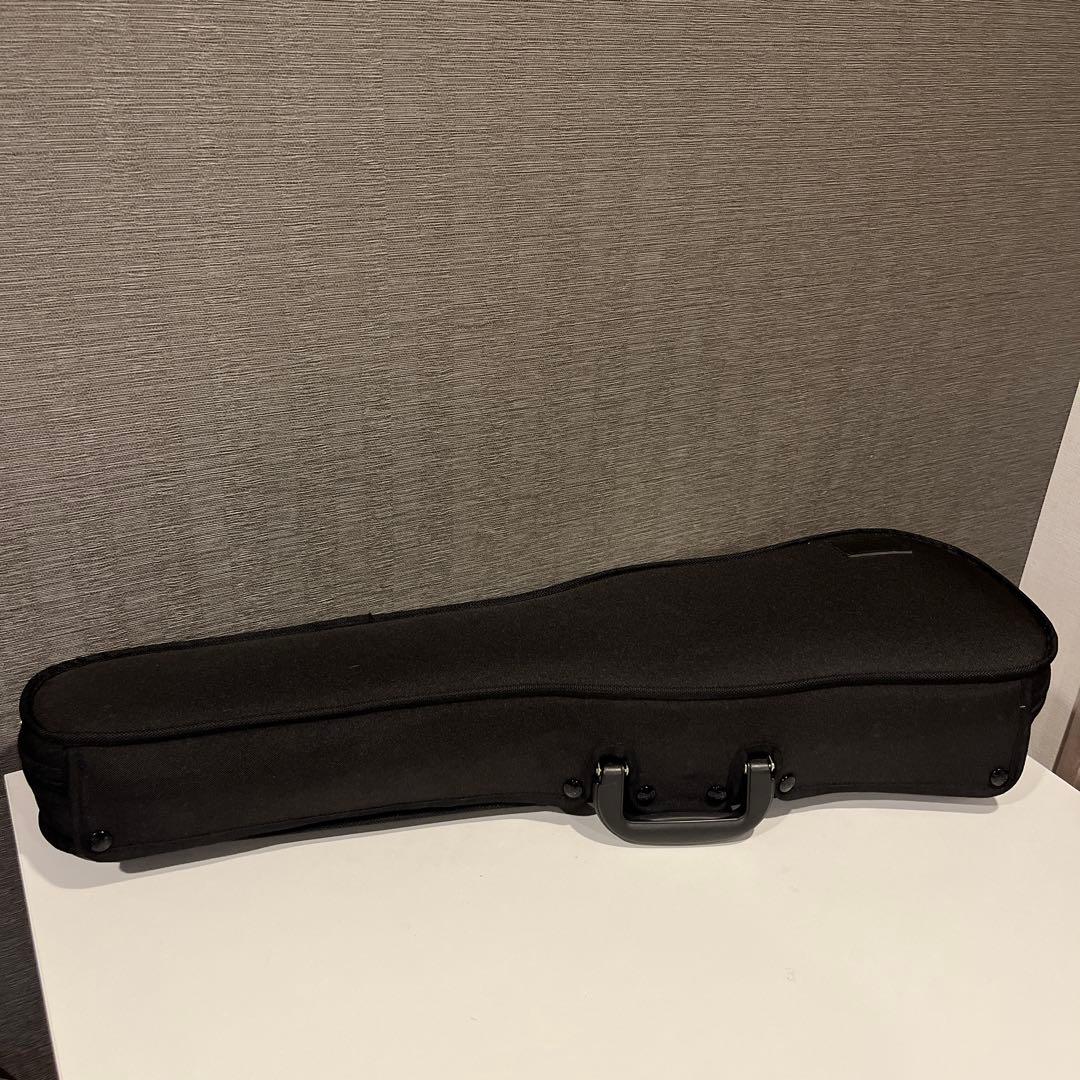 l*n様 GEWA バイオリンケース ブラック