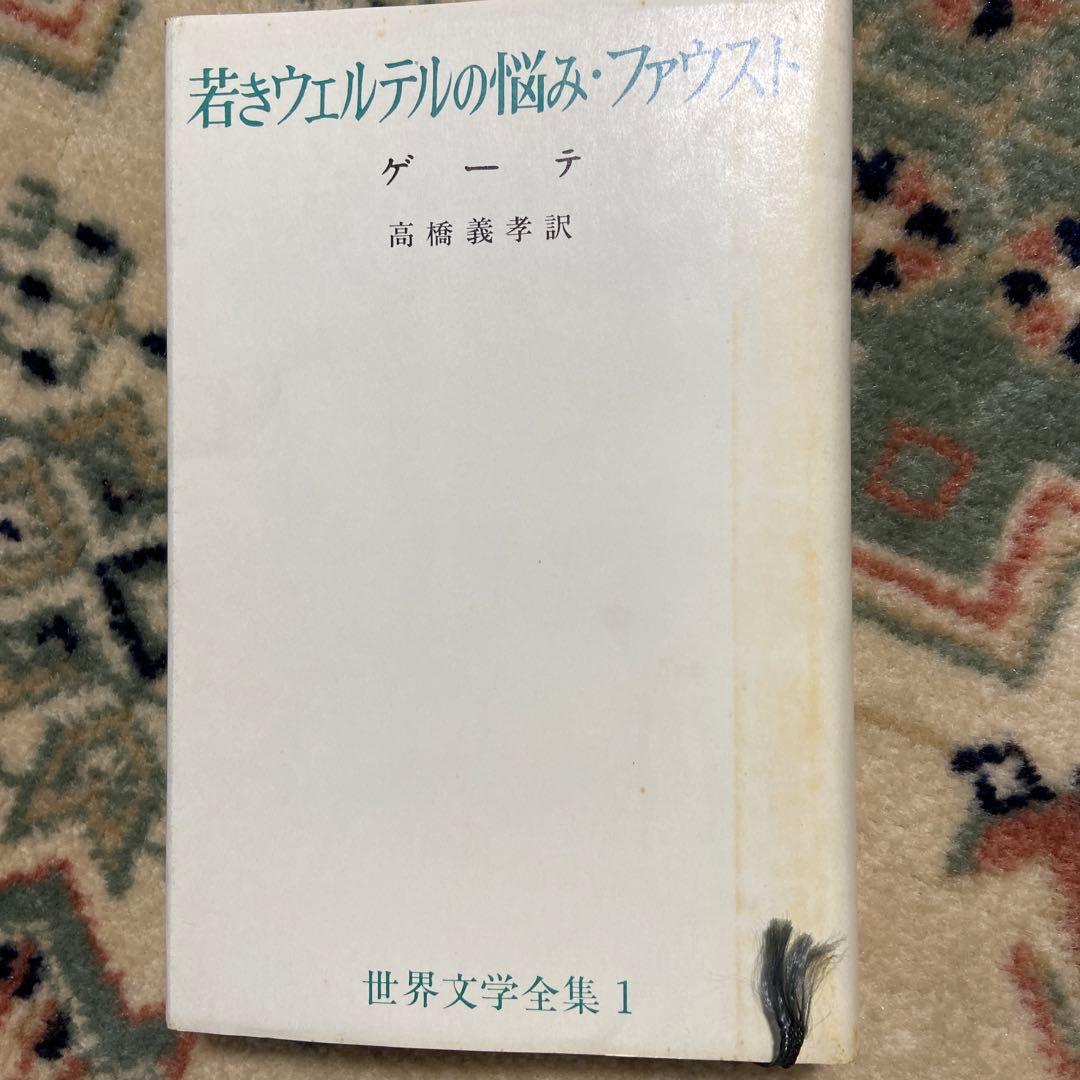 新潮社 世界文学 希少 全集50巻まとめ売り 純文学 世界の作家 新潮社