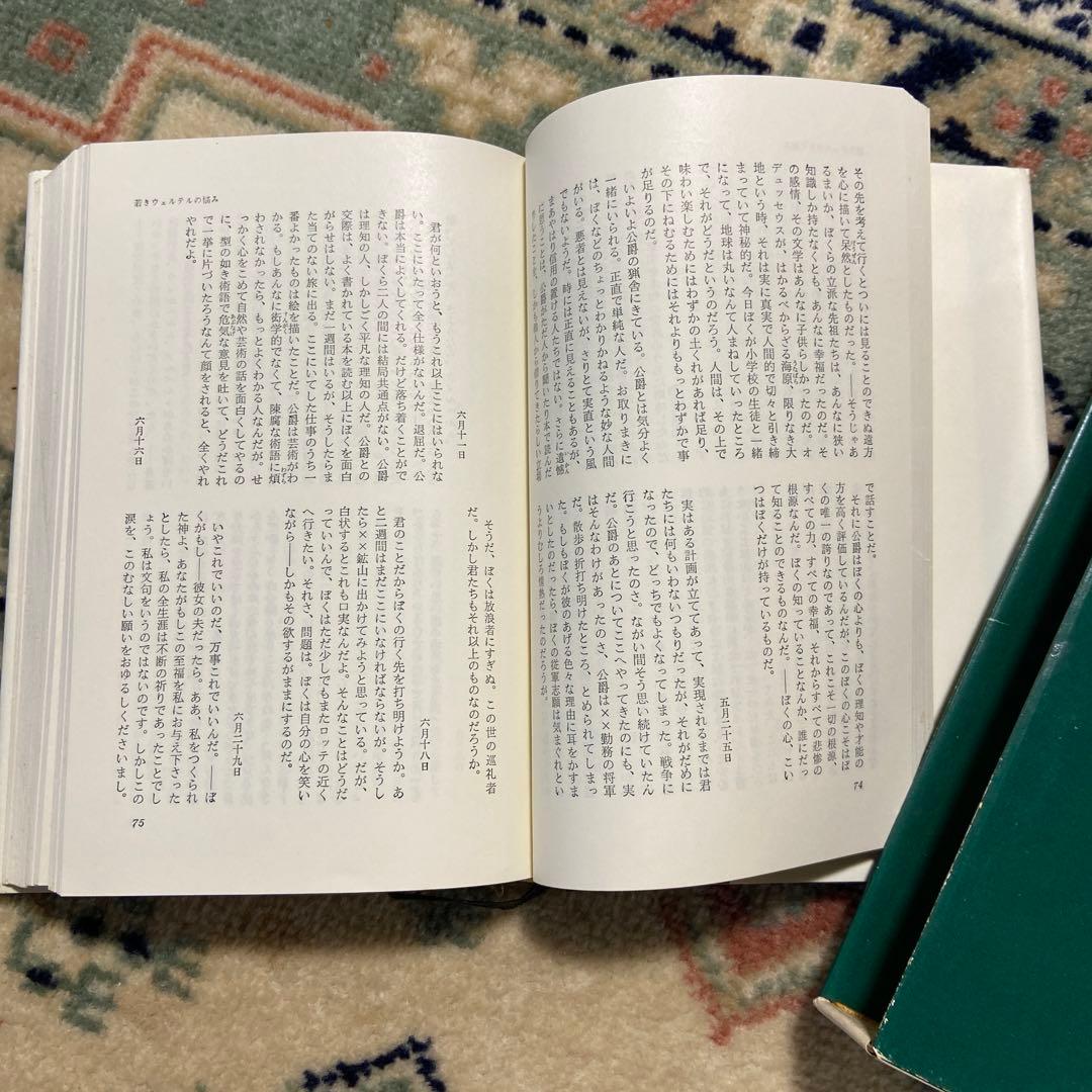 新潮社 世界文学 希少 全集50巻まとめ売り 純文学 世界の作家 新潮社
