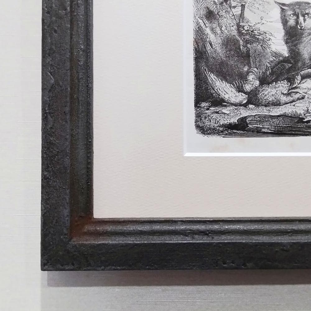 キツネの図版　フランス　アンティーク　版画　1880年　動物　博物画　額縁