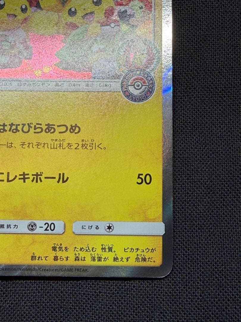 あさ お茶会ごっこピカチュウ：はなびらのまいキャンペーン PROMO