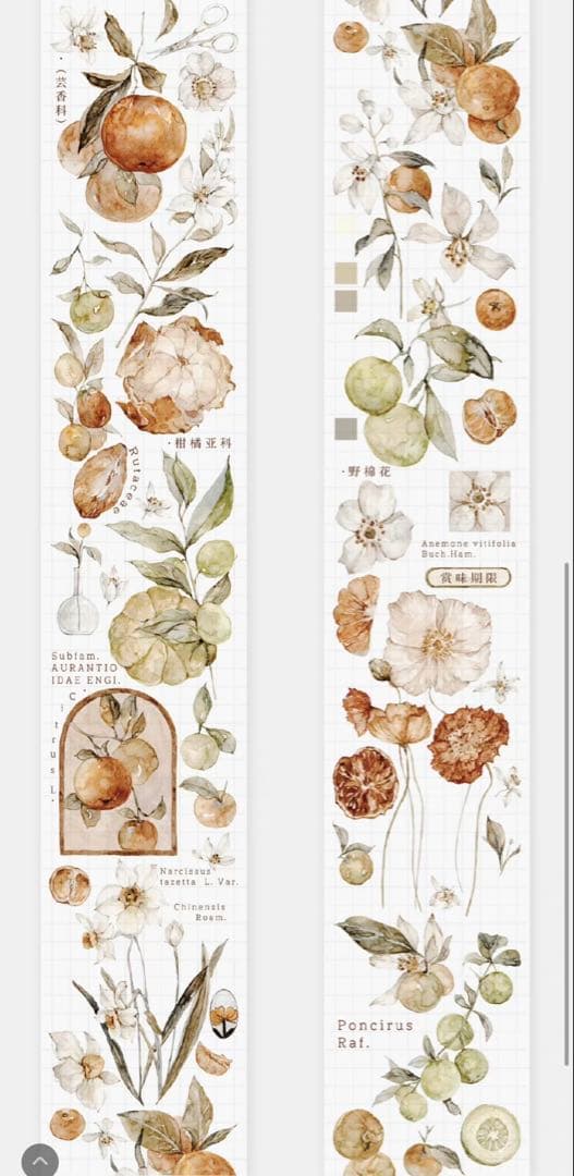 《在庫ラスト最終値下げ》海外 マスキングテープ雀斑茶 6点⚠️pet（33.324