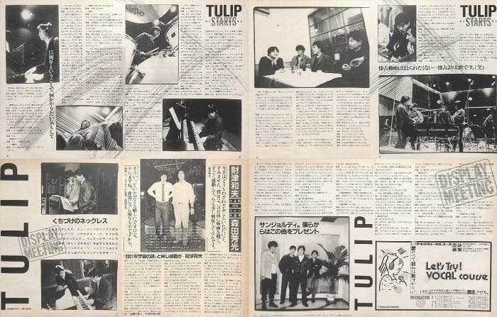 TULIP チューリップ 財津和夫 雑誌 切り抜き 150P ◇ほぼ欠けなし