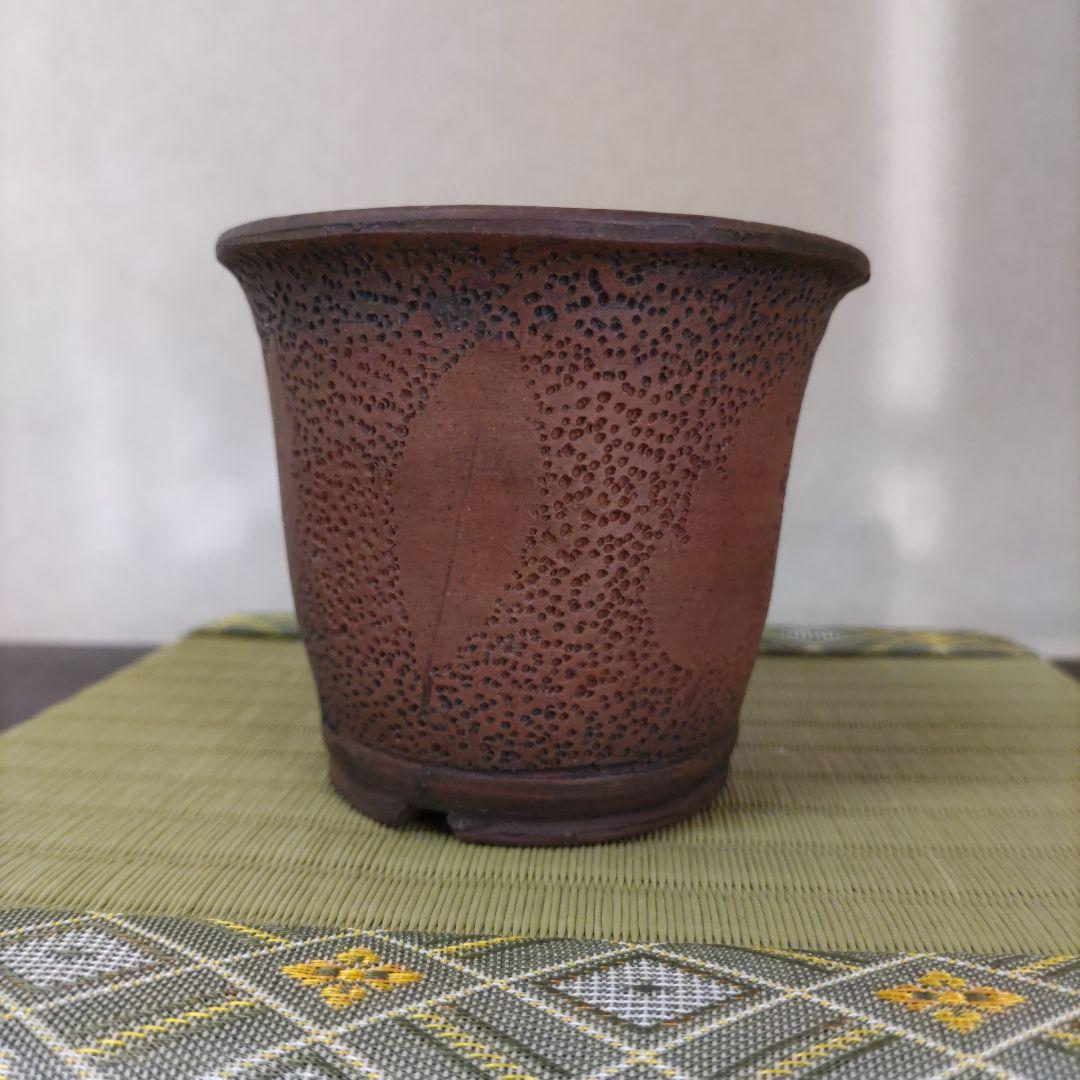 富舟、落款、盆栽鉢、植木鉢、古鉢、鋲打ち鉢、常滑焼、