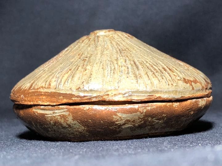 【茶道具】楽山焼 茅葺香合 香合211