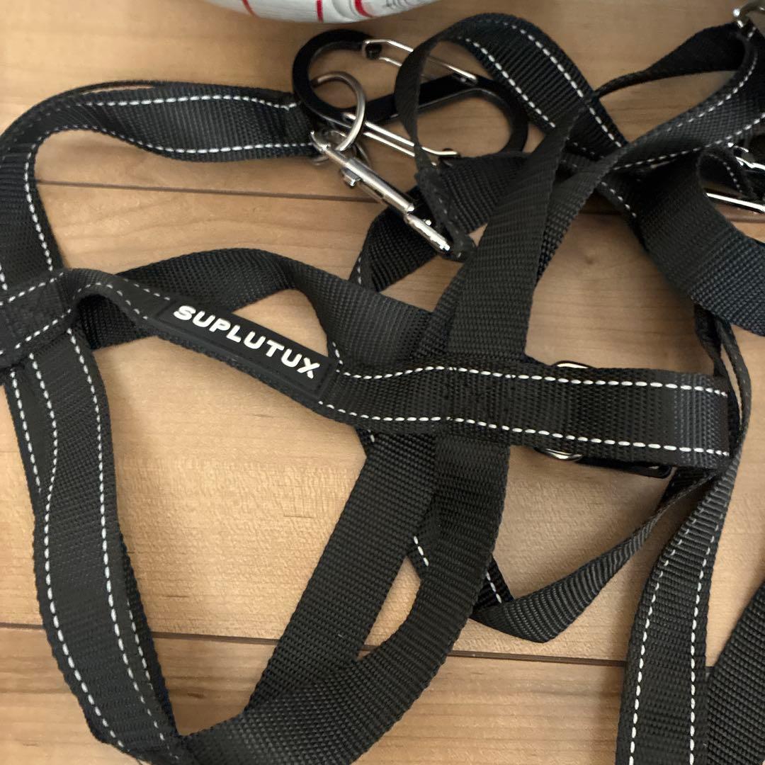 フットゴルフボール FGB サッカーボール 2個セット ストラップ ティー付き