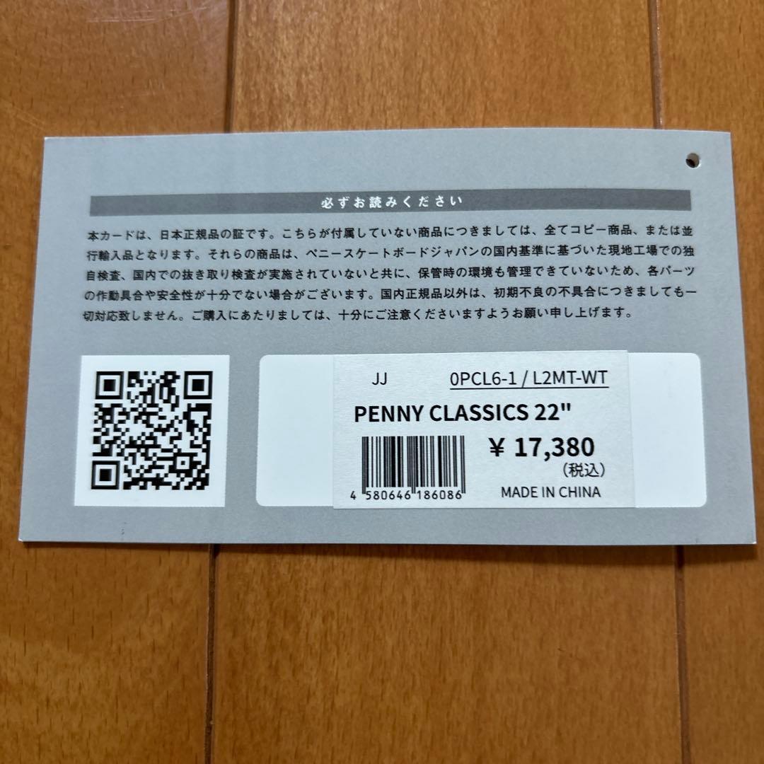 Penny パステルシリーズ ミント 22インチ